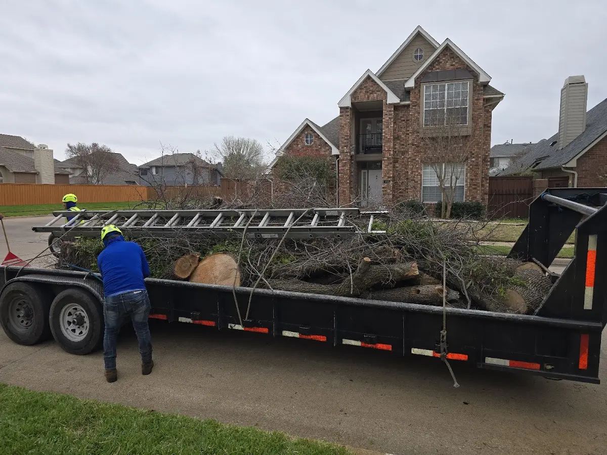 Expert Tree Removal with proper safety equipment in Grand Bay